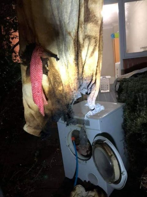 澳大利亚一家人被着火的烘干机吵醒 所幸无人受伤