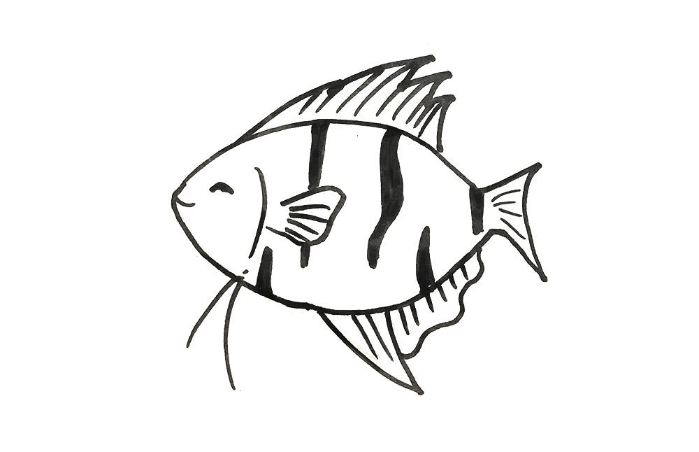 亲子简笔画鱼素材|学画18种不同卡通画鱼,简单实用