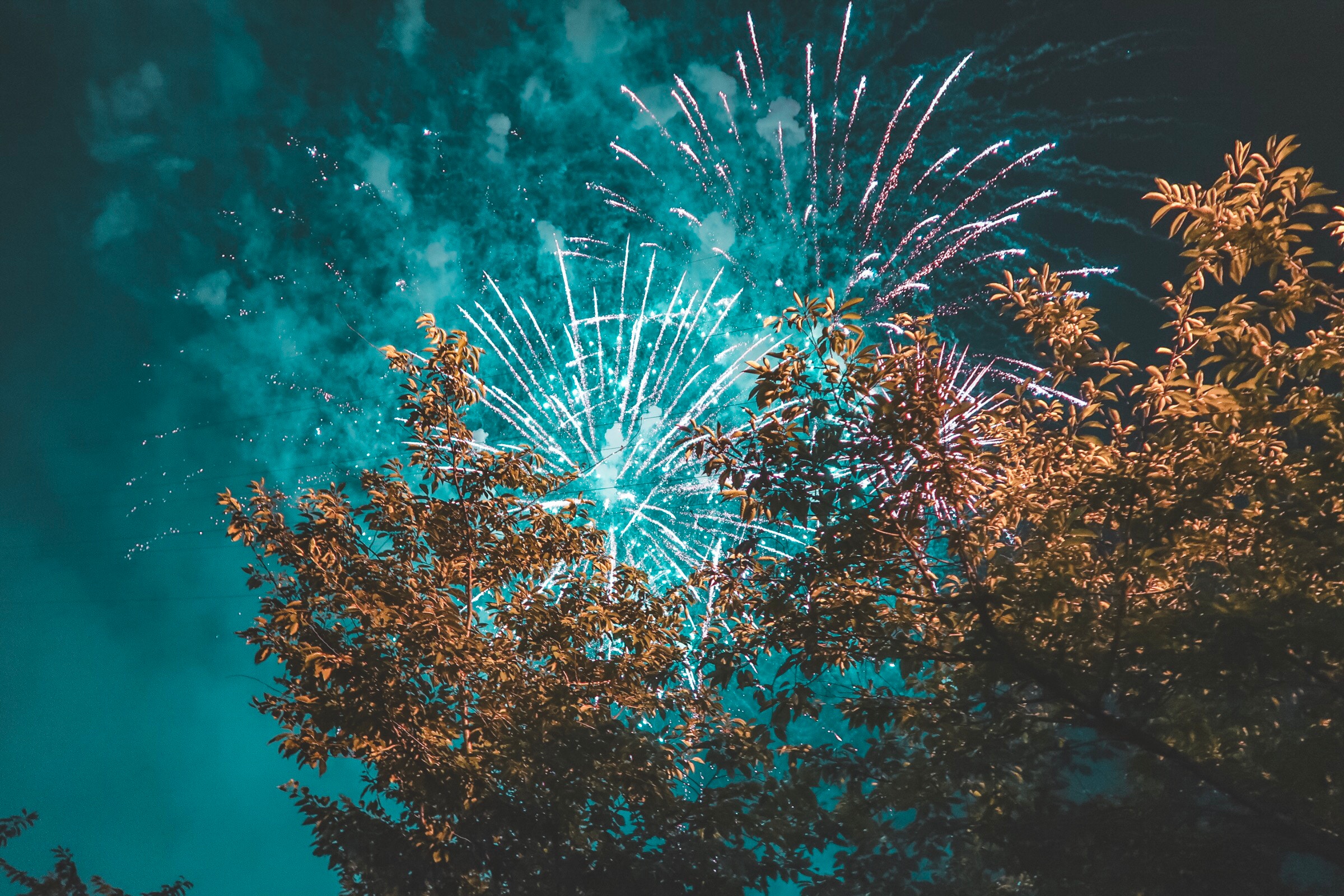 一瞬间的感动,烟花绽放,想一直陪在你身边,花火欣赏(二)