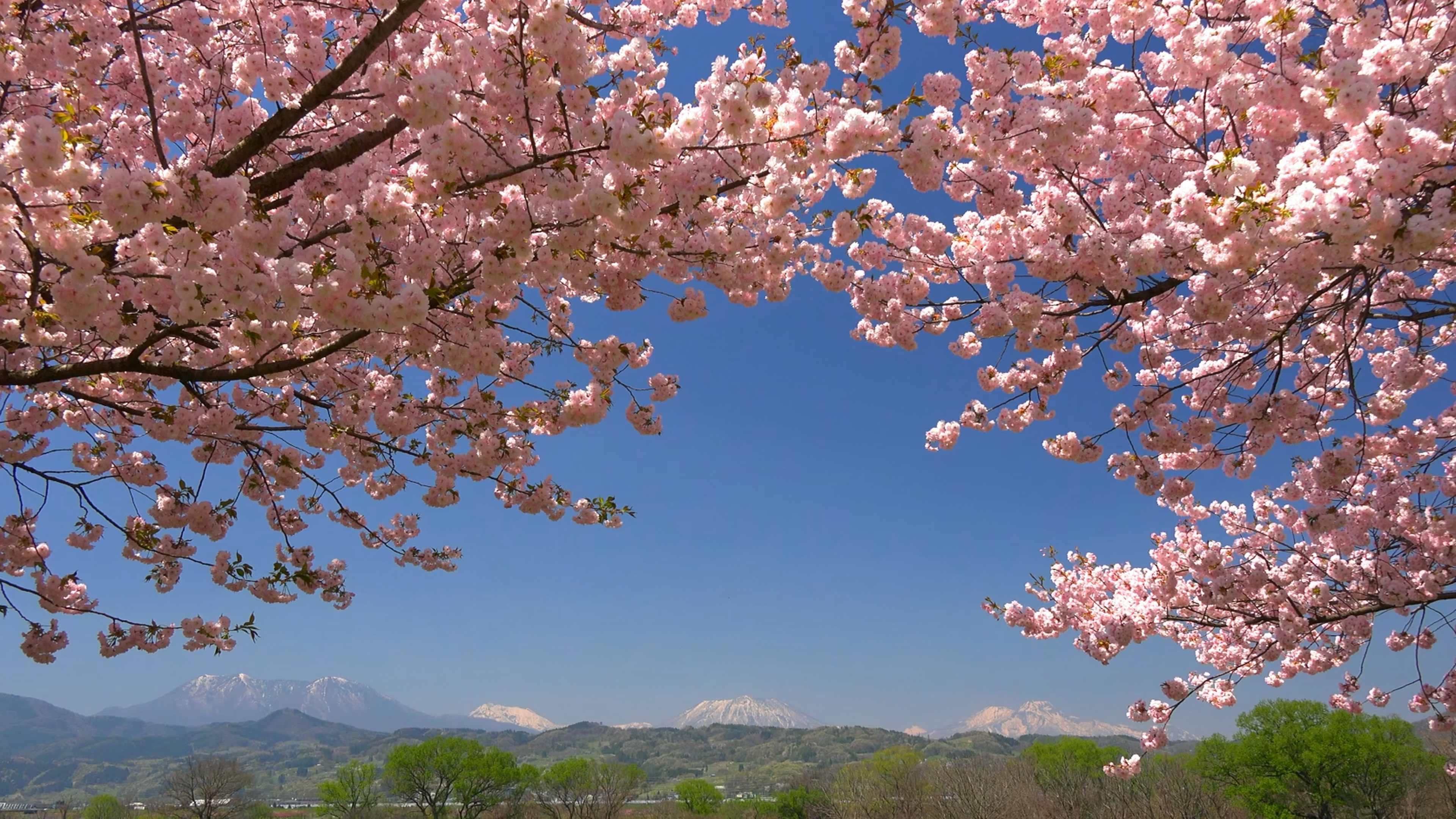 此时远眺群山