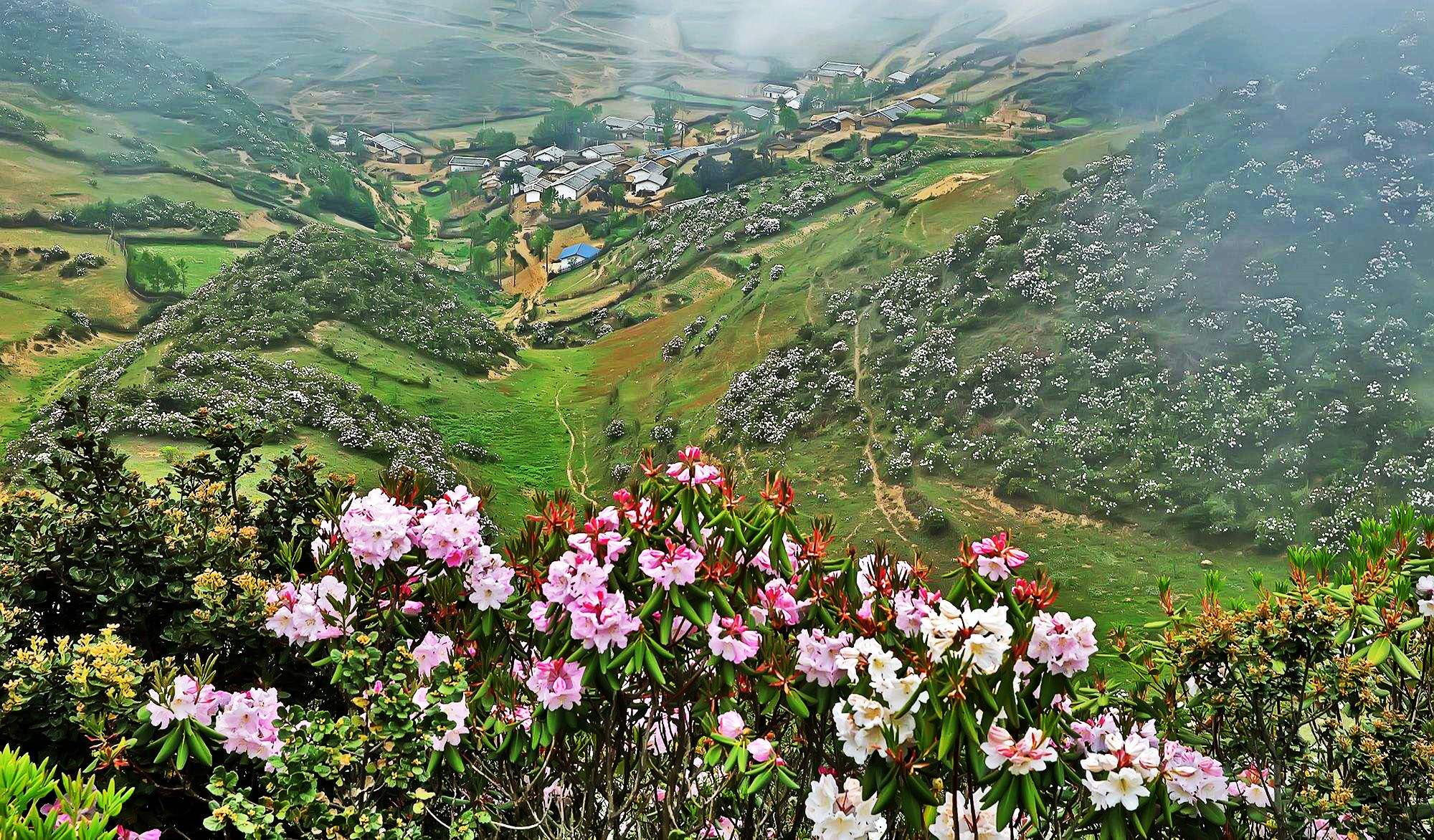 大凉山昭觉,美姑人文纪实,索玛花开,大风车民俗风光摄影团