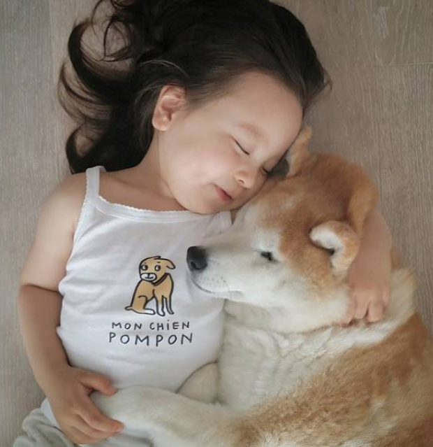 三岁小女孩和柴犬的生活日常,成了彼此最好的玩伴,网友:好感动