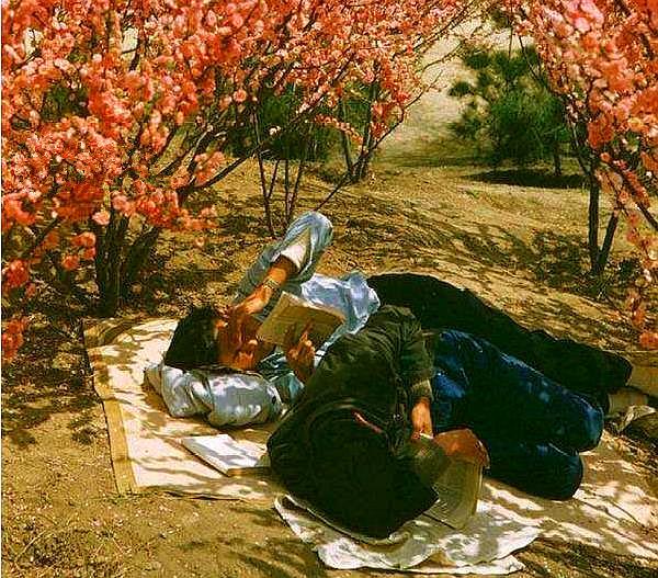 50年代北京彩色照片:树荫下阅读的年轻人,天桥卖艺的男子