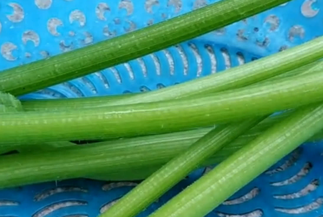 这种带"毛"蔬菜,南方人只吃根不吃叶,价值珍贵这才叫绿色蔬菜