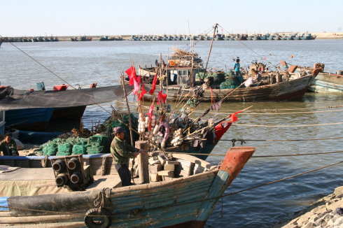 鲅鱼圈记忆——望海是个大鱼市(一)