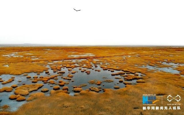 青土湖 baijiahao.baidu.com