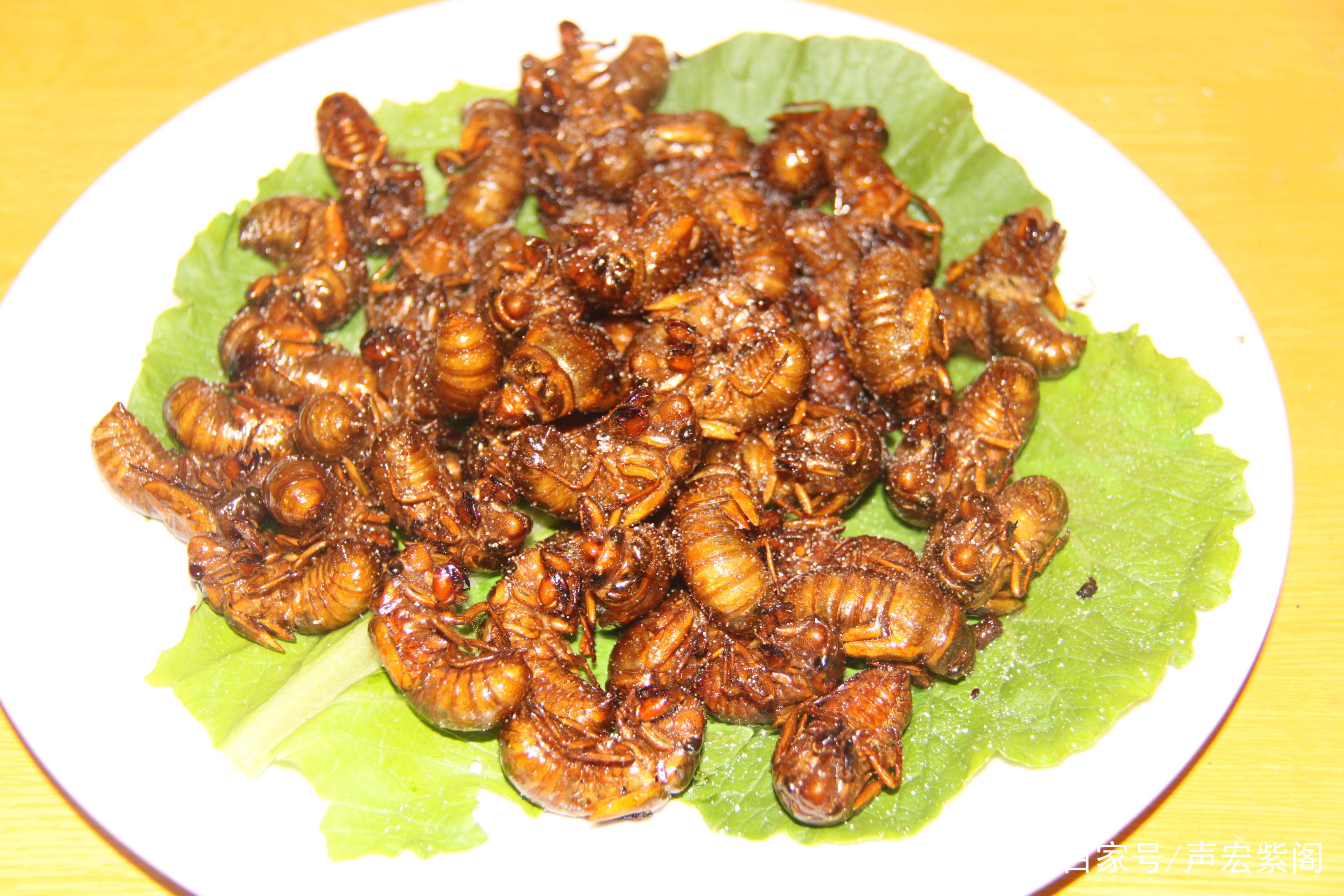 河北旅游美食攻略(河北的著名美食和景点介绍)