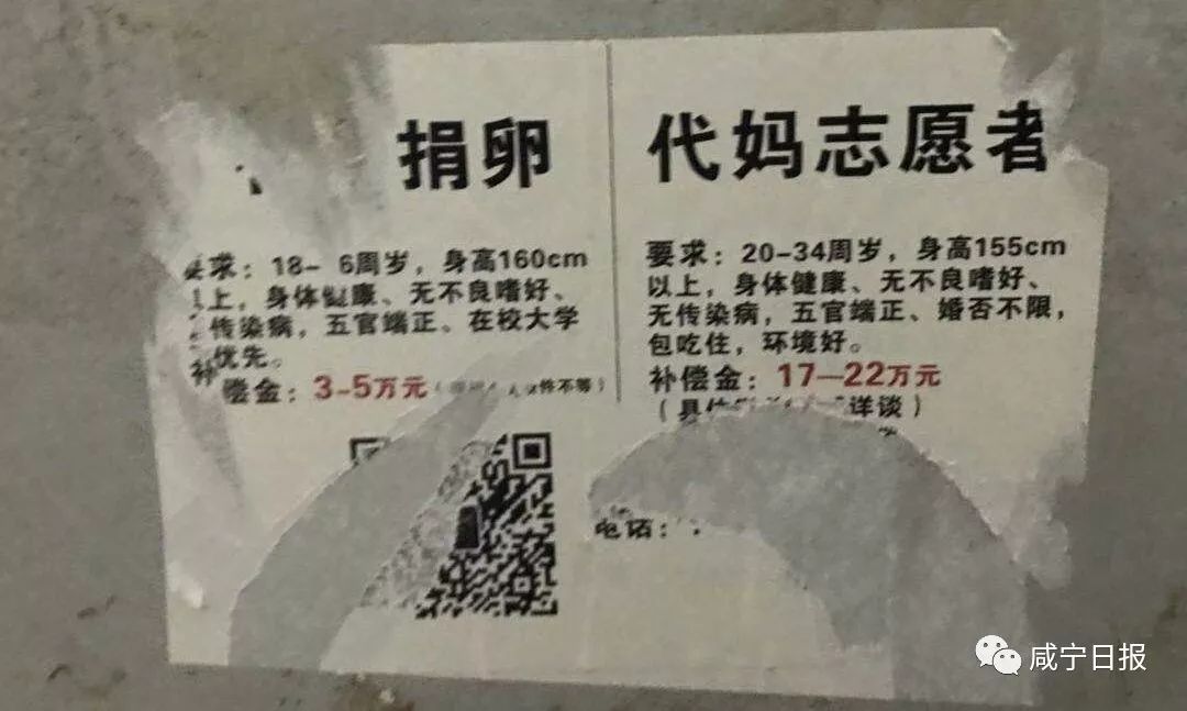 咸宁高校惊现"爱心捐卵"小广告!警惕!别为了几万元犯法送命!