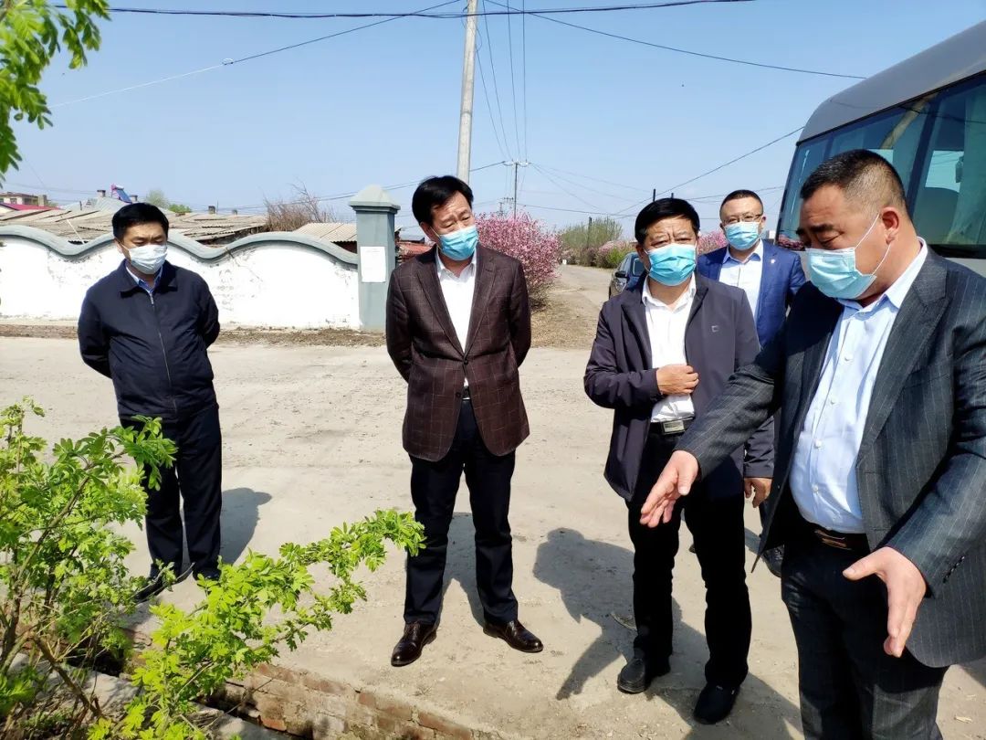 王青伟调研村屯绿化和农村人居环境整治工作