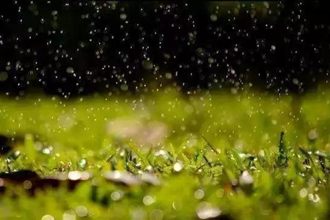 长安街上细密的春雨润滑如酥,远望草色依稀连成一片,近看时却显得