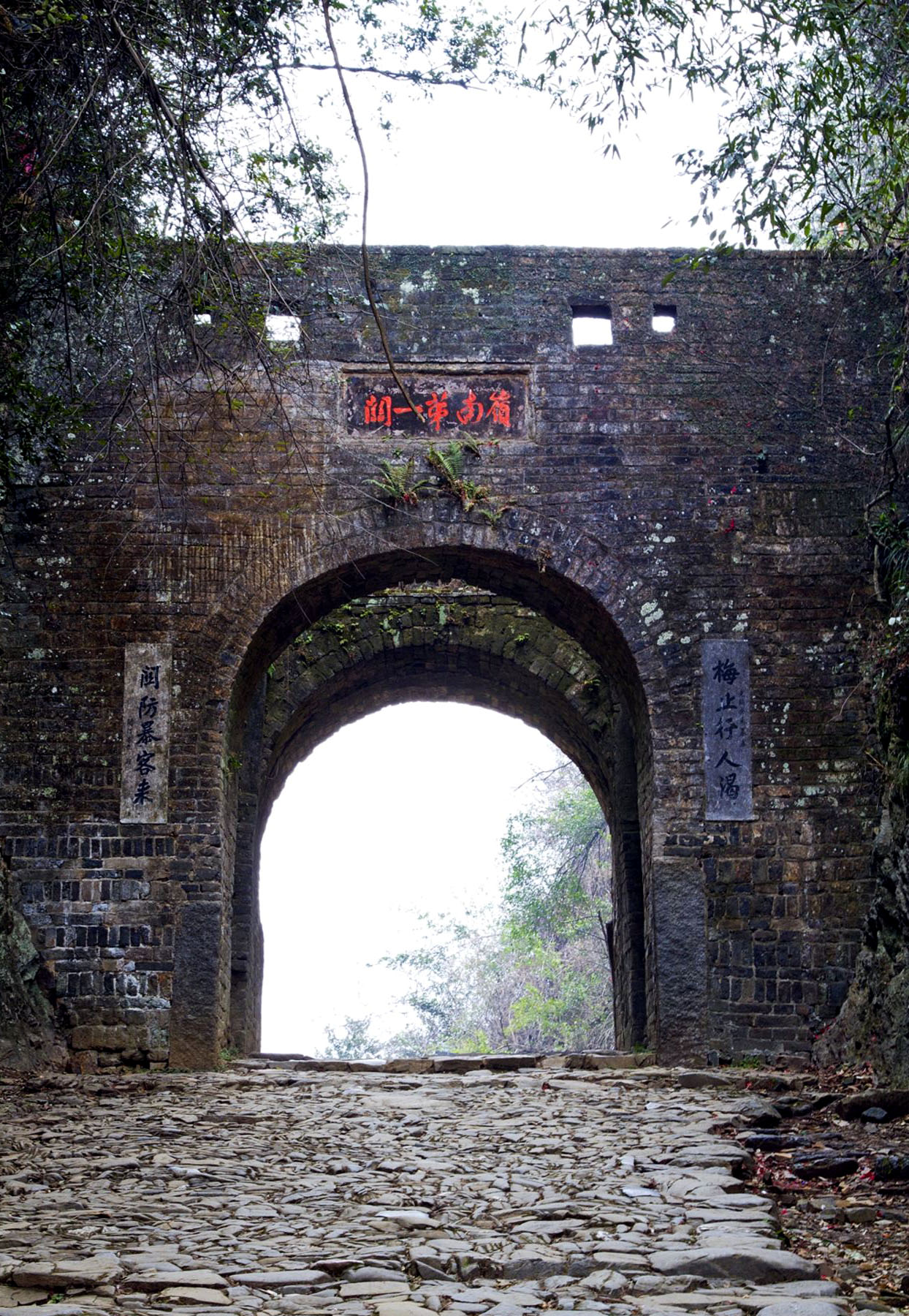 广东最美省道s244全长300公里 可自驾可骑行