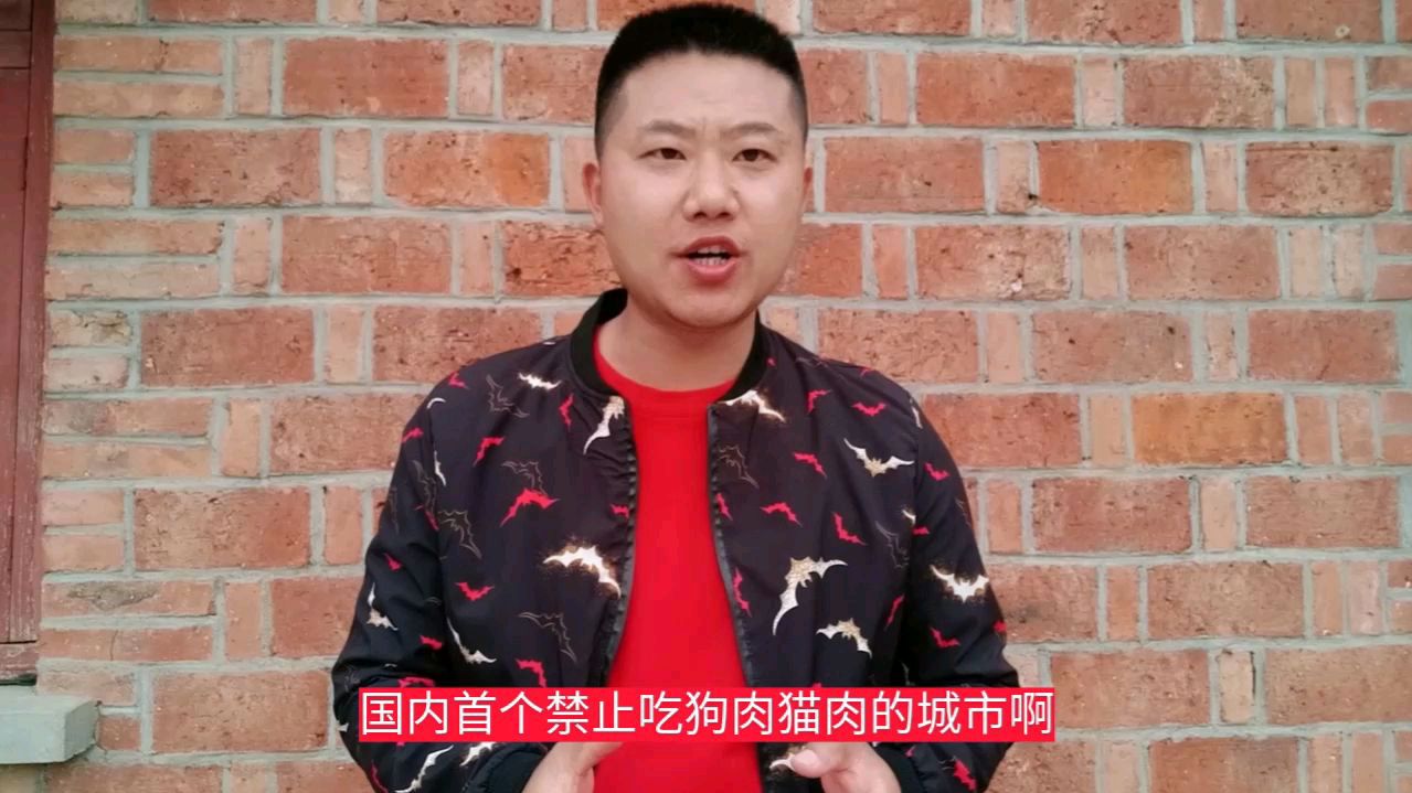 国内首个禁止吃狗肉猫肉的城市,5月1日开始生效,违反罚10倍罚款