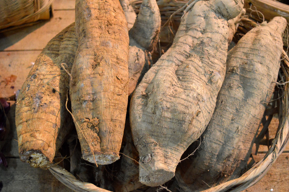 这种植物在我国大量种植,市场价格颇高,在国外却不受待见