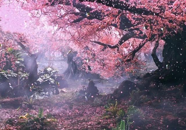 心理测试:哪一片是十里桃林,测试你的2019年的感情运势