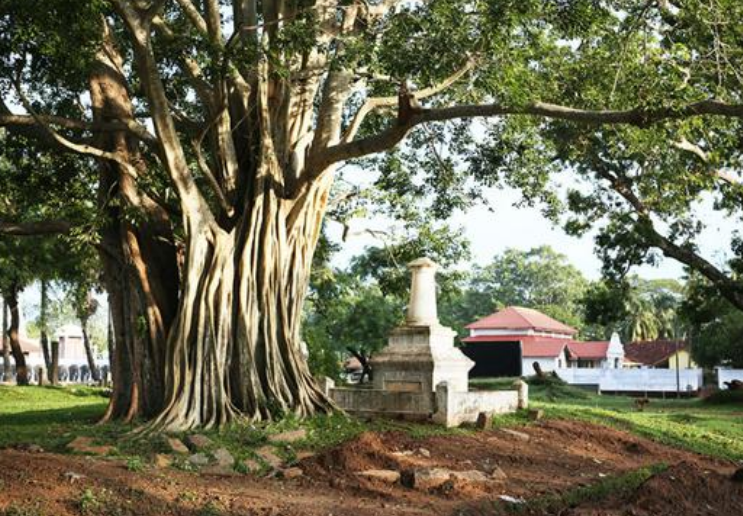 国外旅游:带你去斯里兰卡的阿努拉德普勒,这里最古老的佛教圣地