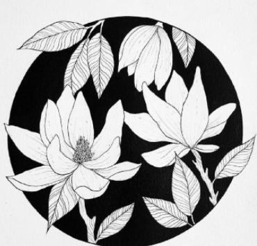 植物花卉黑白装饰画