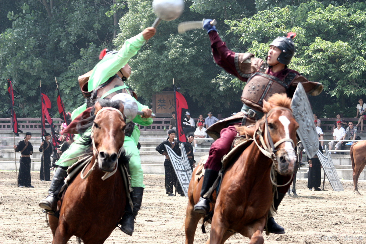 骡子为什么不能生育