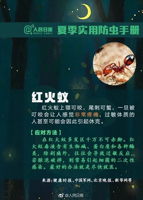 小姐姐美腿肿成"紫薯怪",只因遇上一只虫?
