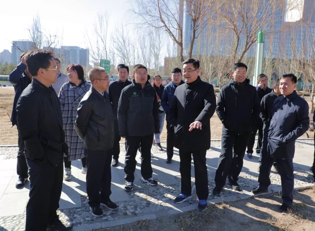 今年东胜的园林绿化工作怎么搞?区委书记张占林这样说!