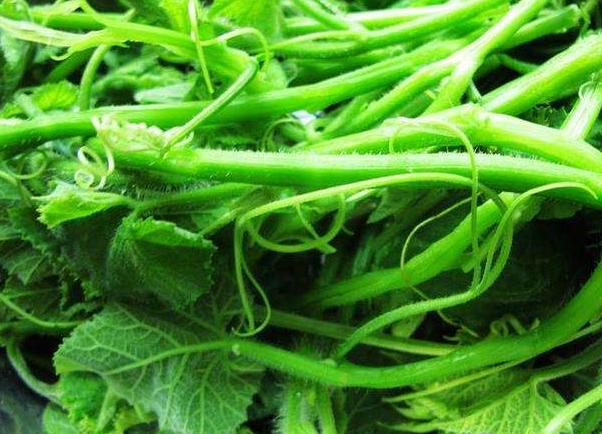 另外这种叶子捣碎了泡水喝还可以起到戒烟的作用,当然需要坚持下来