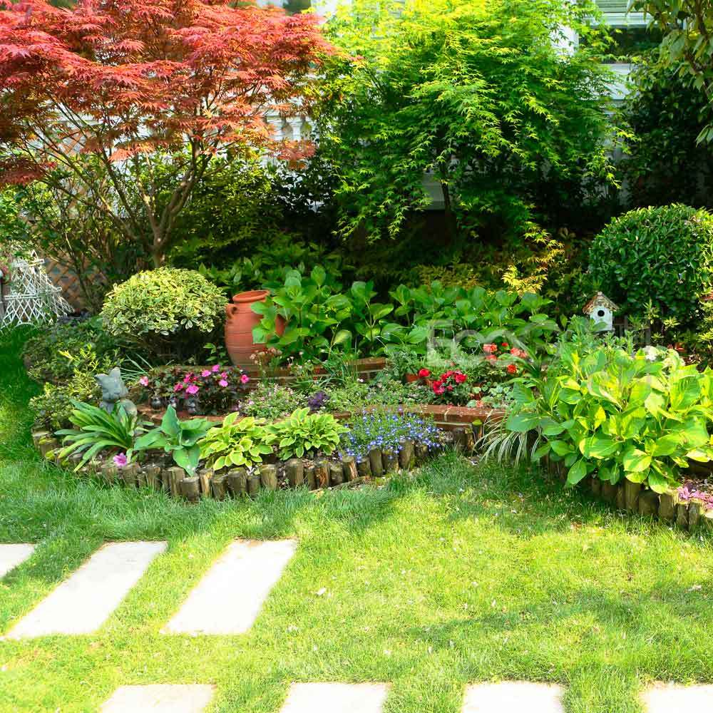 别墅花园中栽种乔木,营造幽静且清凉的森系感觉