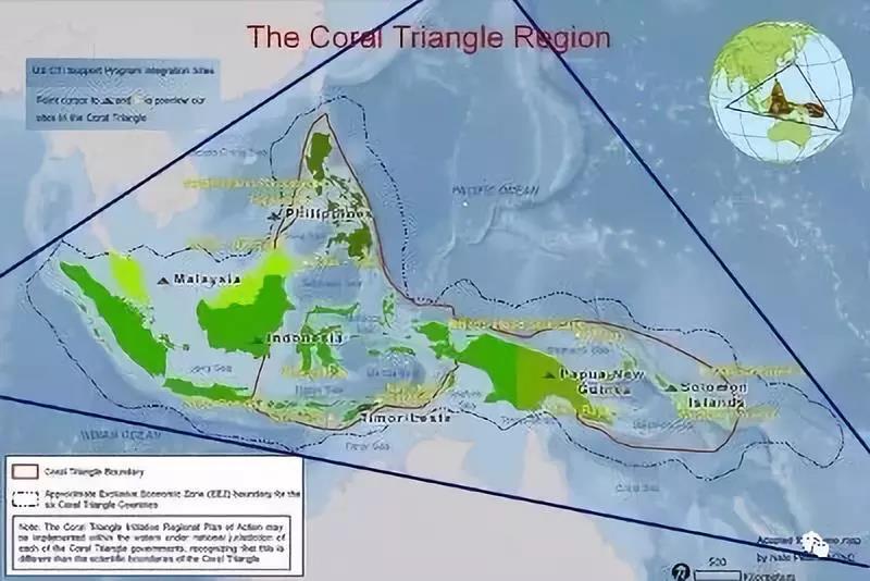 帝汶岛面积图片