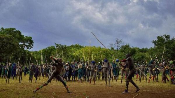 埃塞俄比亚苏里部落独特的仪式,通过战斗来求偶