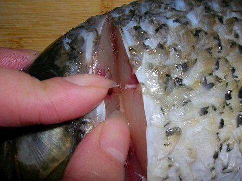 鱼身上有根"鱼腥线",太腥不能吃?要不要去掉?今天告诉你