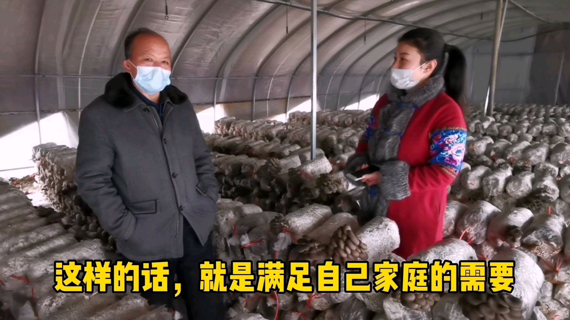 地下车库,地上车棚可以种植什么蘑菇品种?听听周不修老师咋说