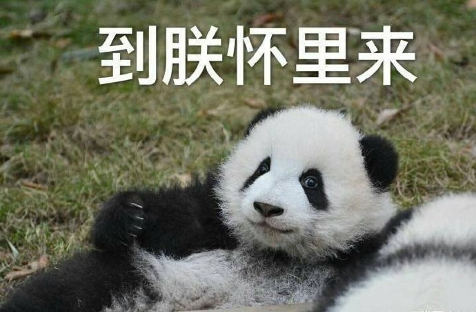 一条权重贴,大家都留下 :鸿鹄展翅,候你高飞.
