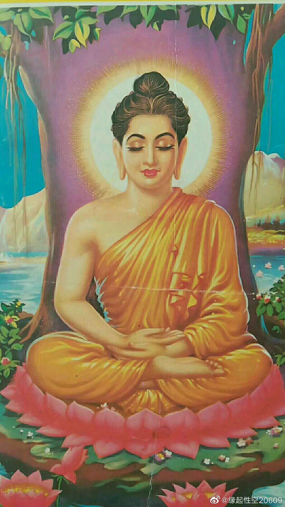 觉者如来度,心有如来生.