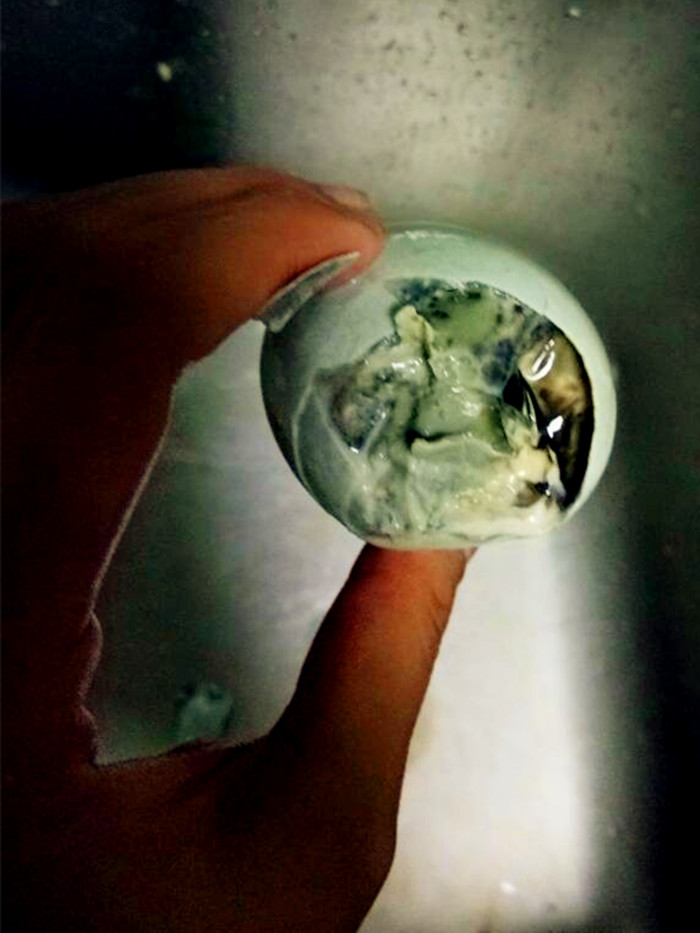 买了3个皮蛋回家敲开全是坏的 市民:气得不想吃饭