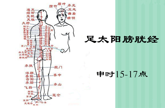 心跳过速的简便操作,膈腧穴的妙用