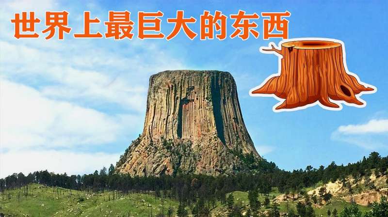 5个世界上最巨大的东西，大到不可思议！,社会,奇闻,好看视频