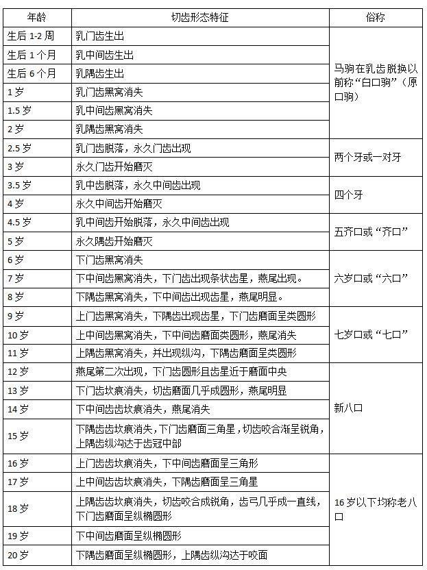 马的牙齿判断年龄图片图片