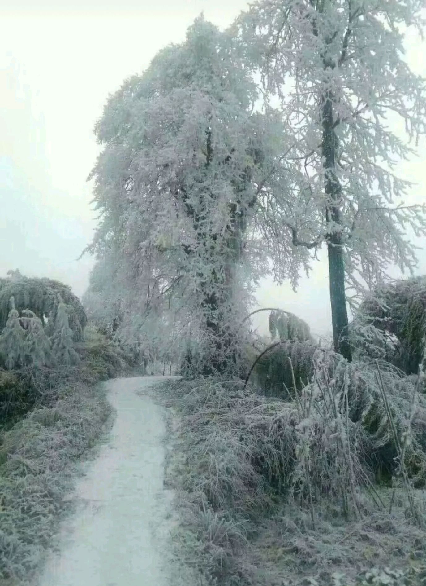 贵州凯里小高山无论什么季节都是好风景