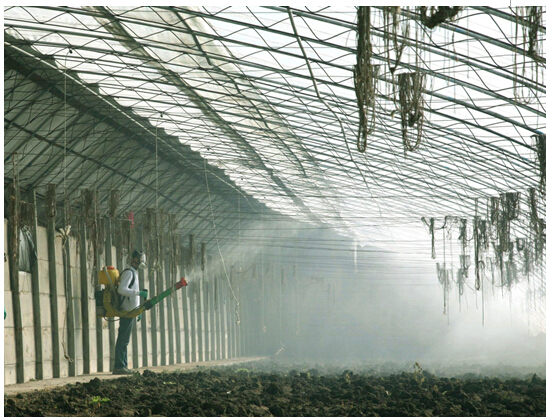 白酒 空气加湿器(或净化器),再说以熏蒸法对抗新冠病毒