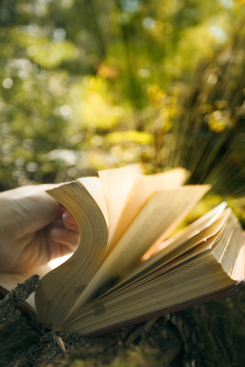 书里藏着无尽的智慧,让人沉醉其中 翻开书页,仿佛穿越时空,遇见不同的