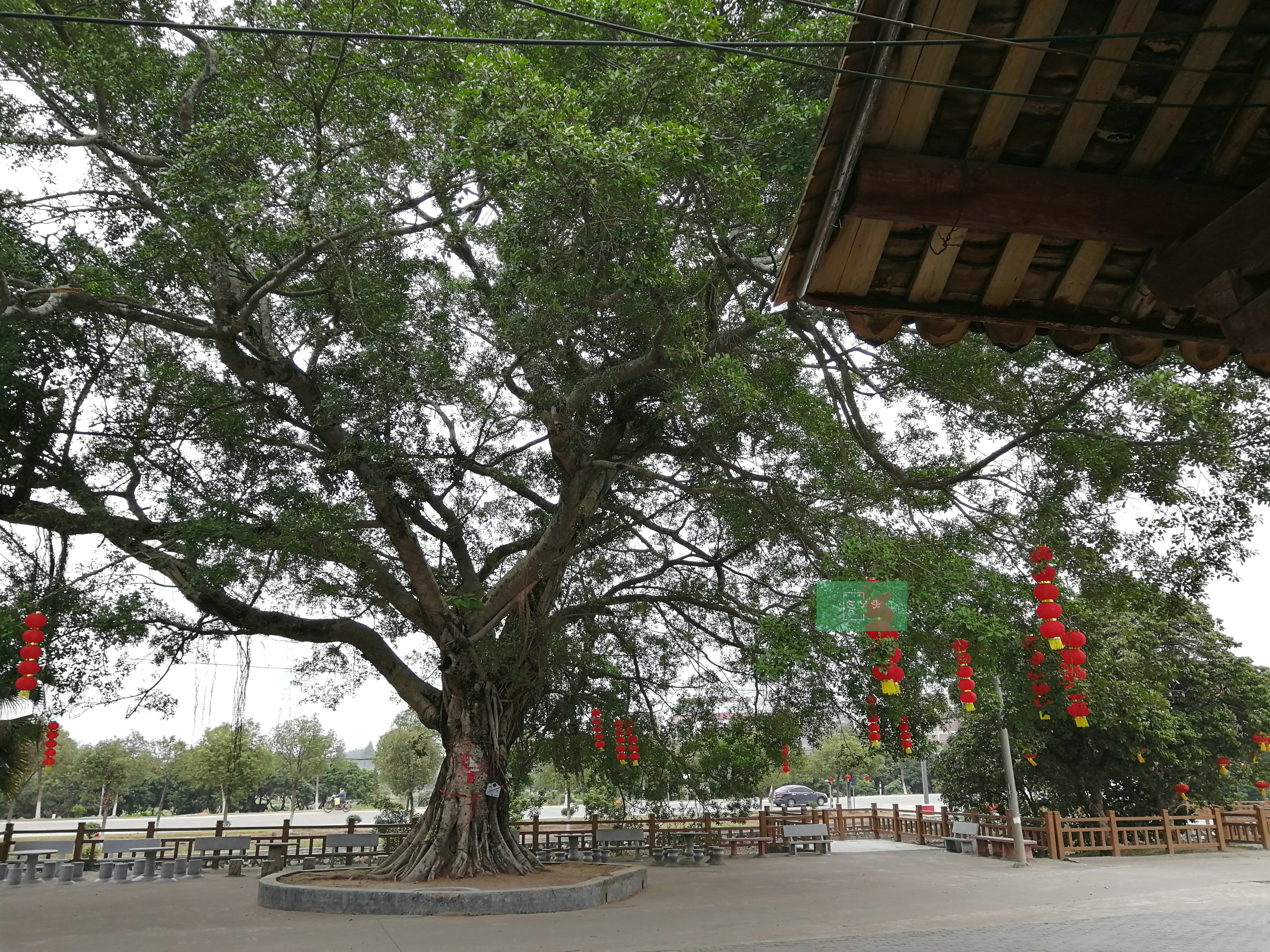 书舍:木棉村保留有浓厚的读书传统,行走其间,可以看到宝珊书舍,水坚书