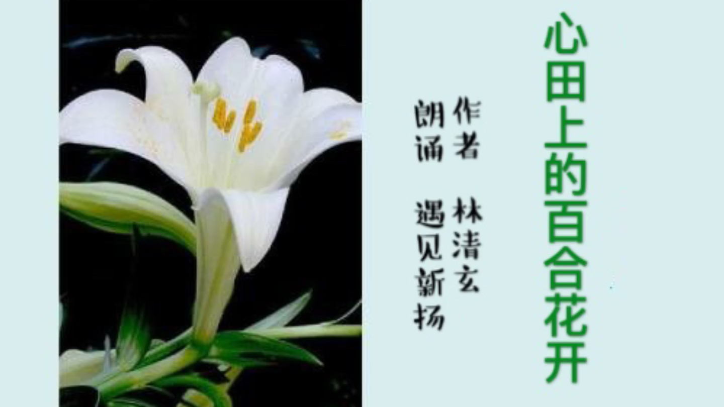 [图]经典朗诵-心田上的百合花开