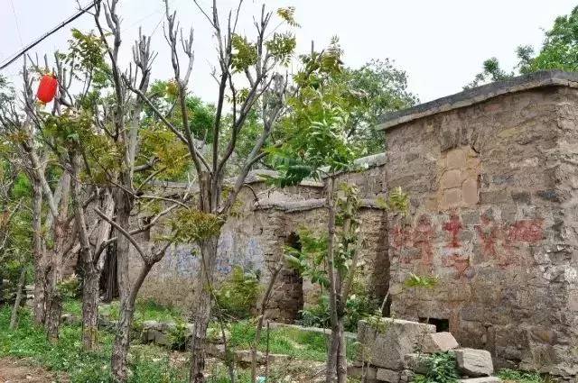 冀驻乡愁 | 一到春天,全国人民都想住进河北这个香椿村!