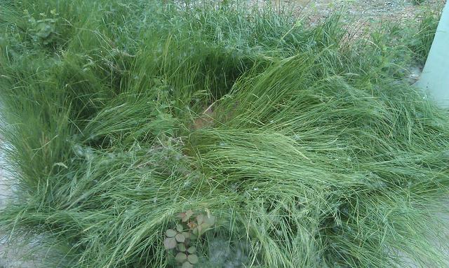 这些问题你搞懂了吗?