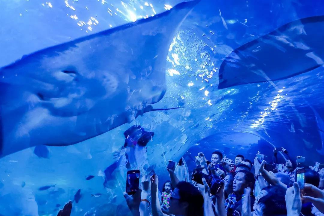 为爱出发丨相约温州,与家人共赴一场"温"情之旅