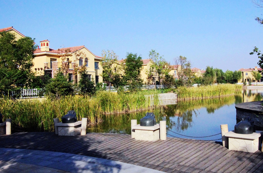 天津的团泊湖,大家旅游可以考虑下!