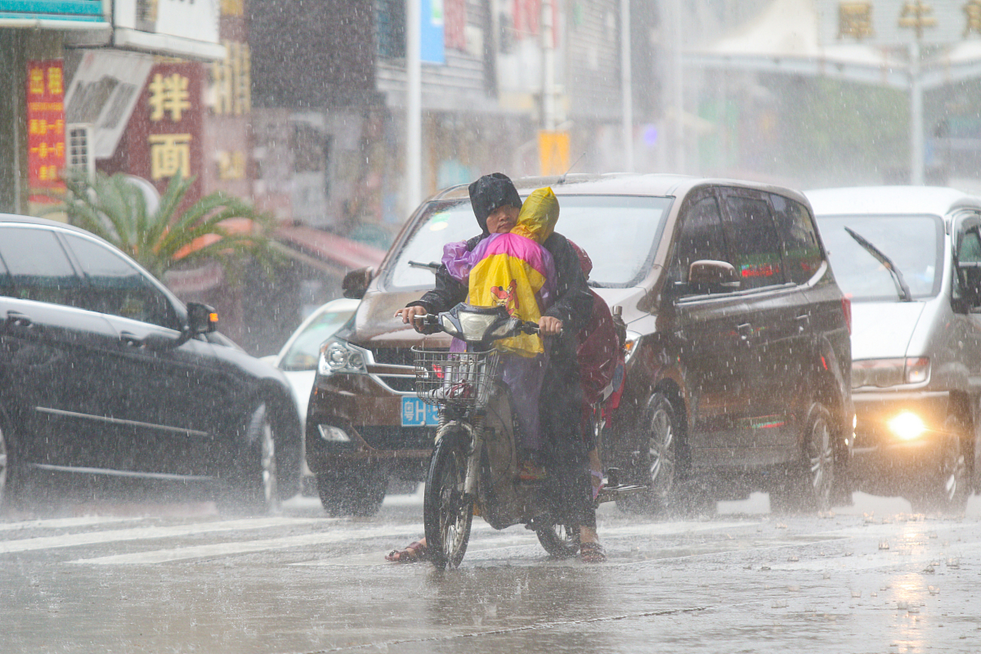 那一天,外面突降大雨,伴随着狂风和倾盆而下的雨水