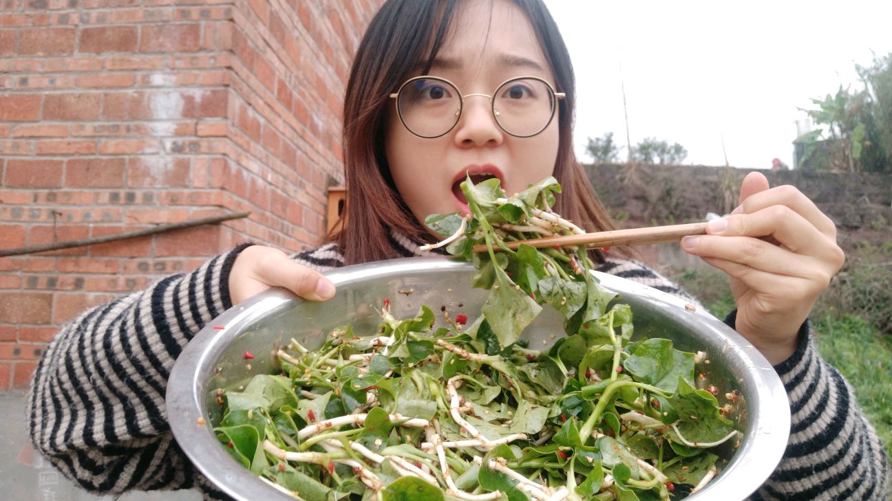 田里挖新鲜鱼腥草,洗后直接凉拌。猪妹捧盆大口吃,太爽