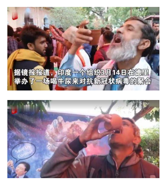 印度聚众喝牛尿,神一样的国度,招网友纷纷吐槽