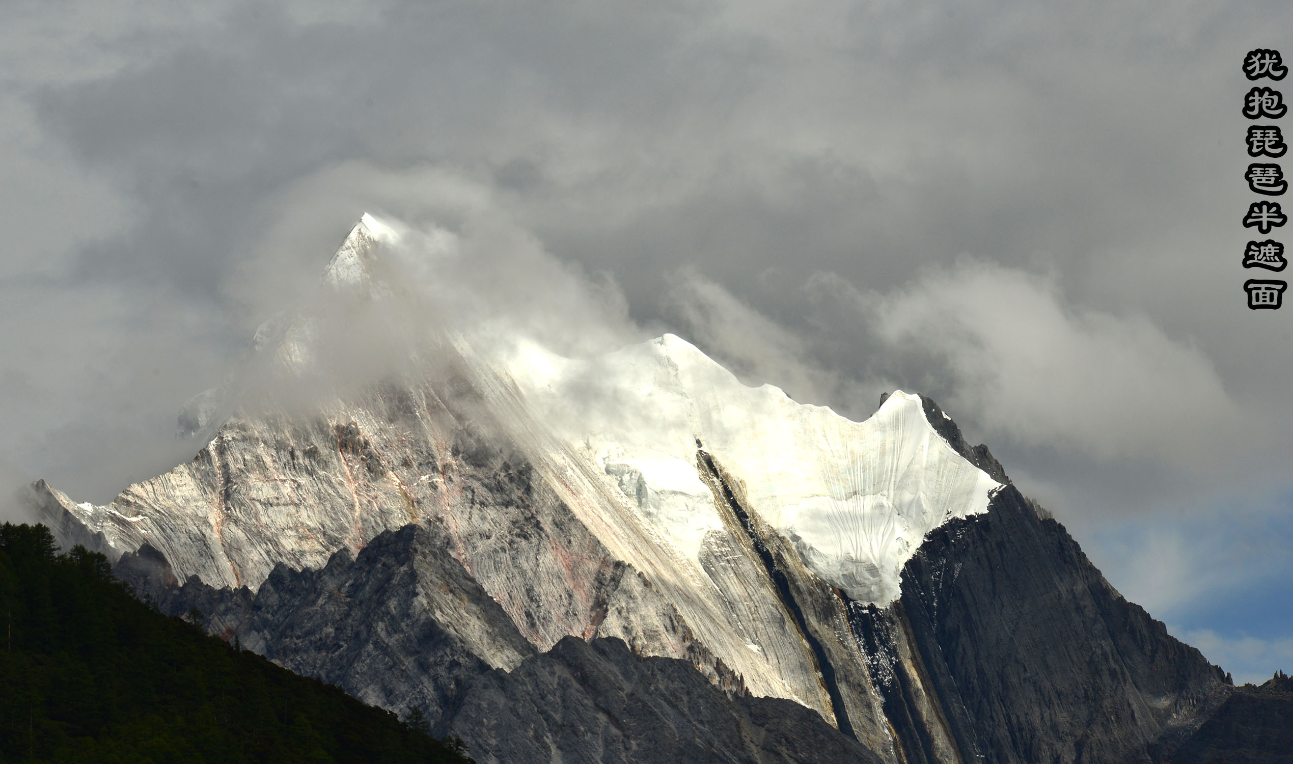 好的摄影作品应该具有什么特点呢?