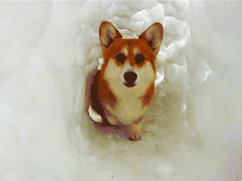 480_360gif 动态图 动图