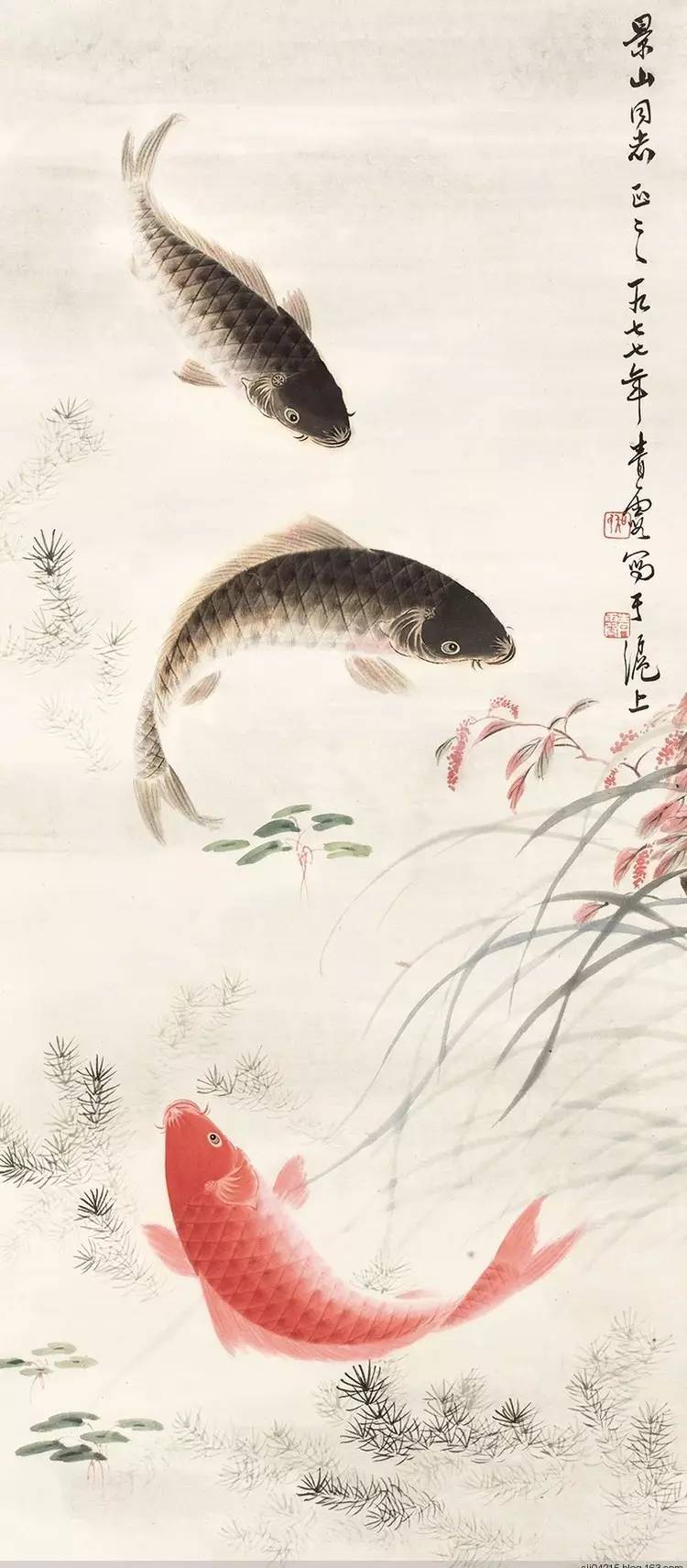 青出于蓝 霞光万丈--转"常州女将军"大画家吴青霞的"锦鲤"